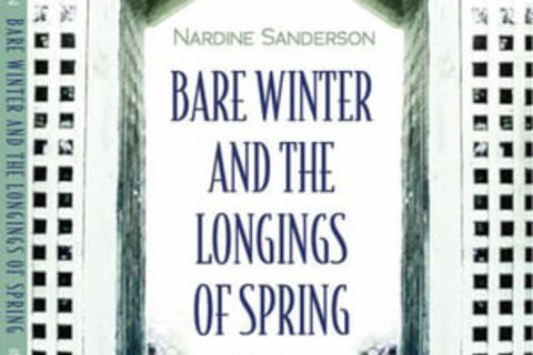 Bare winter and the longings of spring 