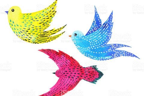 WILLIAMSJI MAVELI : FREEDOM 