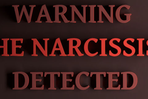 The Narcissist    