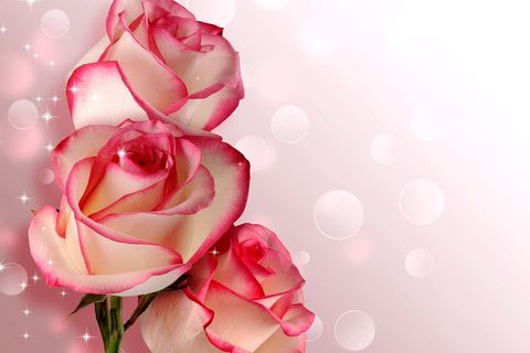 WILLIAMSJI MAVELI : FLOWERY QUEEN 
