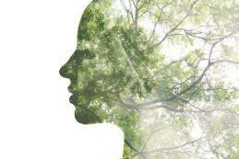 Nature & Art
