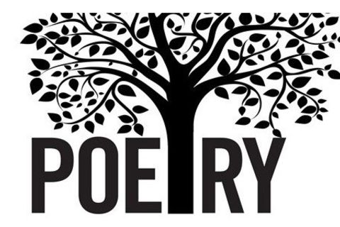 WILLIAMSJI MAVELI: POETRY IS HEALING 