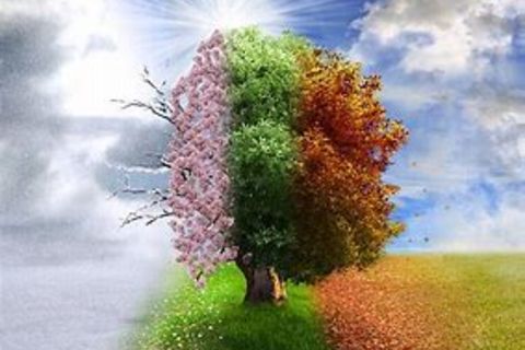 Cyclical Time: ( Nature Theme)