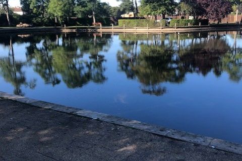 In Ward Jackson Park...