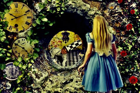Rabbit Hole 