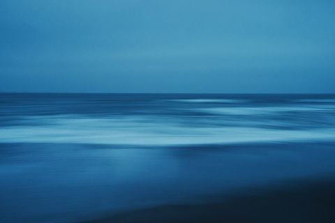 Wintry Beauty: ( December, 2021)