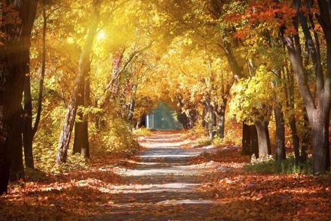 September Light