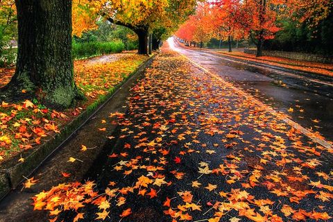 Bright Colours...