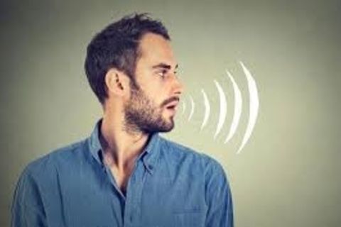 Voice