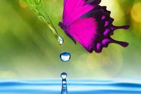 WILLIAMSJI MAVELI POEM: DEW 