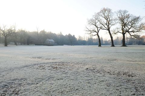 FROST