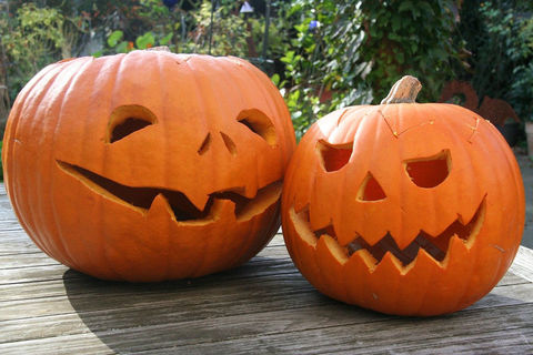 ALMOST A TRICK OR TREAT BABY
