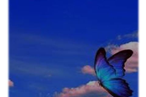BEAT OF WINGS