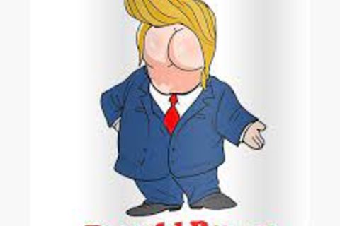 Ronald Rump reasonably roasted
