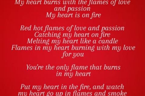 My Heart In The Fire