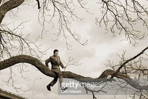 OUT ON A LIMB