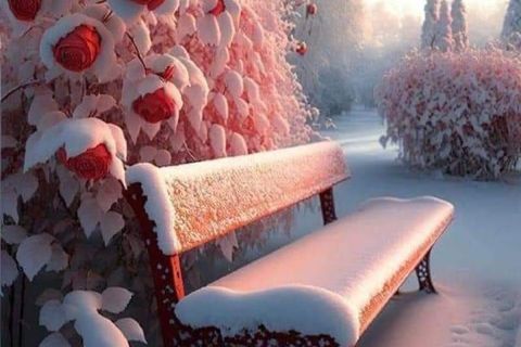 Frozen Love