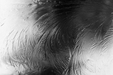 Glass Darkly 