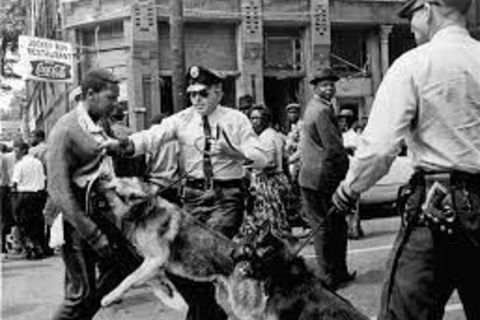 Rampant and endemic police brutality...