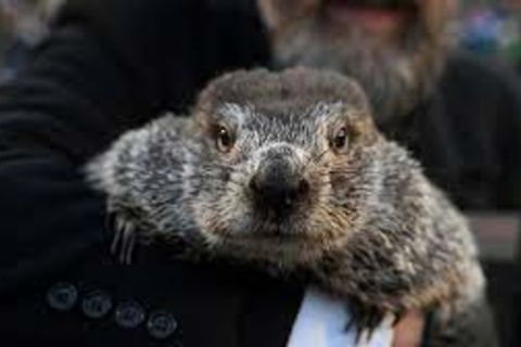 Groundhog day - Thursday, February 2nd 2023