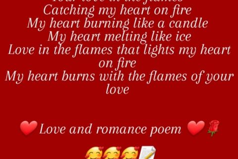 Love In The Flames: My Heart Catching Fire 