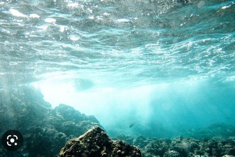 Salty Solitude 