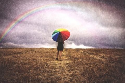 The Rainbow