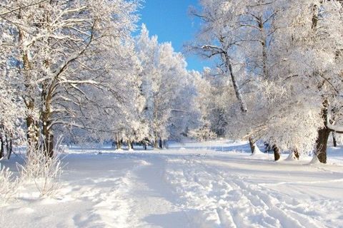 THE QUIET OF WINTER
