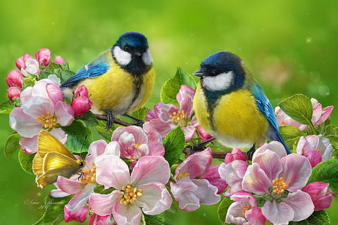 SPRING