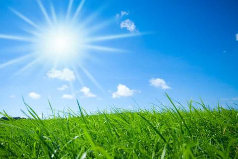 SUNSHINE