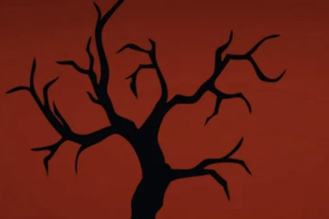 Roots Different 
