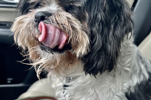 Buster 