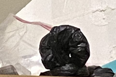 Table Turtle