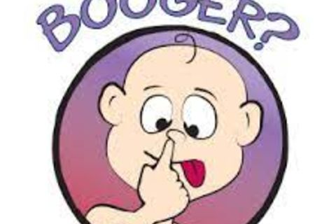Scrounging for boogers wrought my damn nostrils nearly to bust