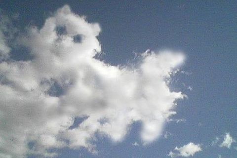 LOST IN THE CLOUDS 
