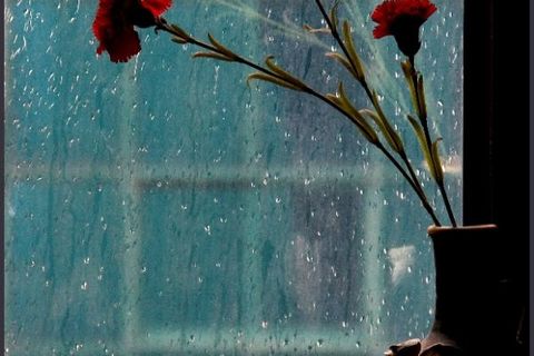 THE SOUND OF RAIN