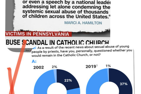 The Catholic Church 