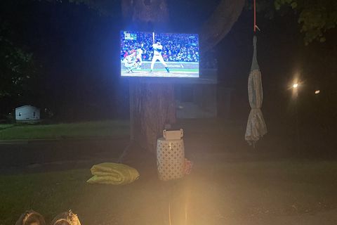 It’s a Tree, It’s a Lawn, it’s Entertainmemt! 