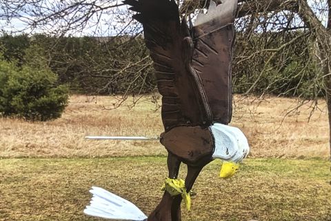 I the Eagle 