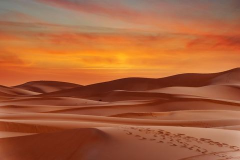 The Desert