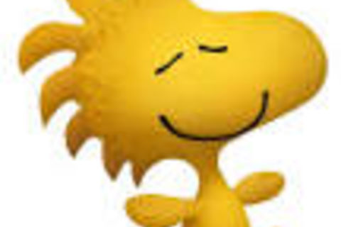 Charles Schulz Peanuts character Woodstock