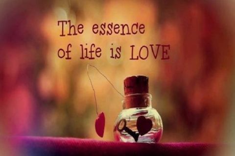 CONSIDER THE GIFT OF LIFE 
