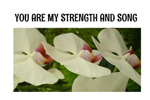 YOU ARE MY STRENGTH AND SONG