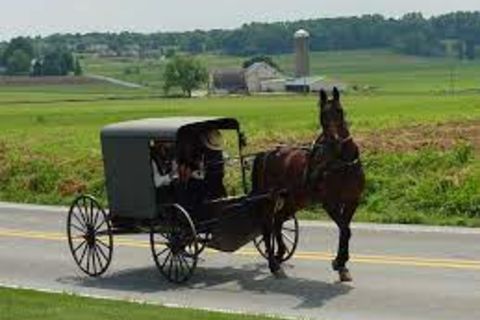 Hierarchical paradigm of the Amish community