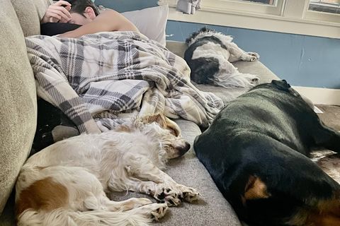 Nap-Time 