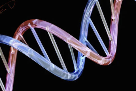 My Genetic Code 