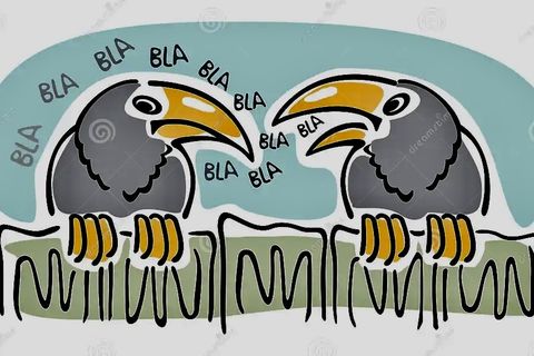 Little Magpies