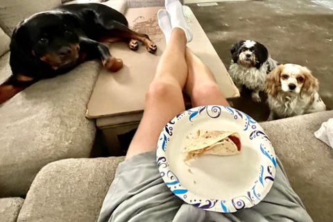 Politely Begging 