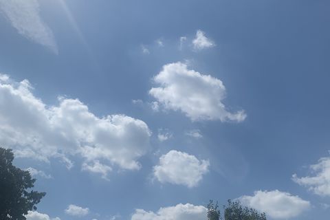 The Sky is Blue