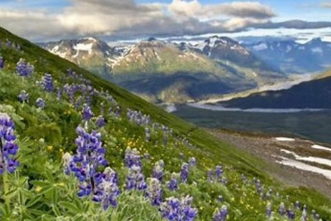 My love for nature